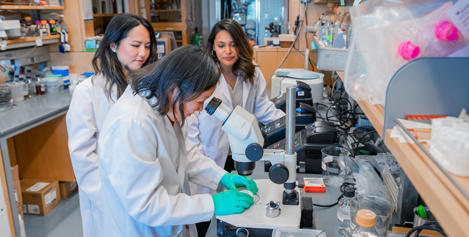 Three scientists in a lab