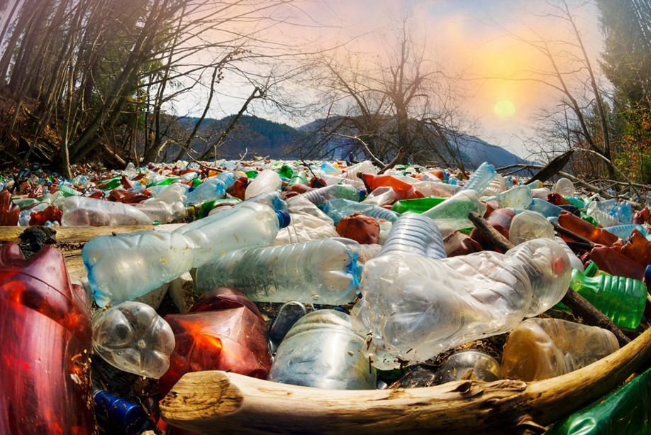 Plastic bottles in a stream
