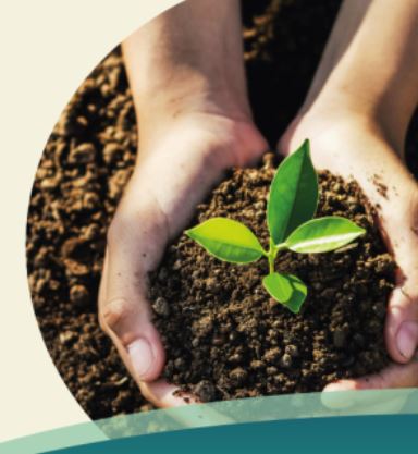 Hands in soil picking up a seedling