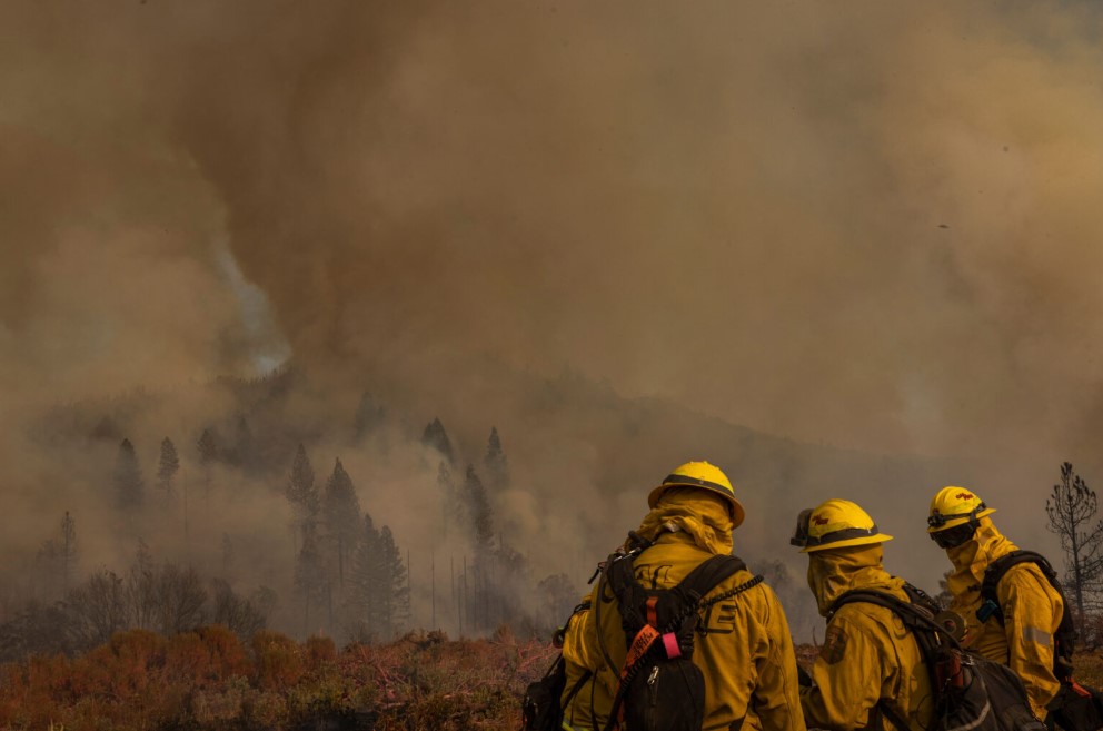 Wilderness fire fighters at a wildfire