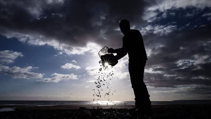 Person watering crops