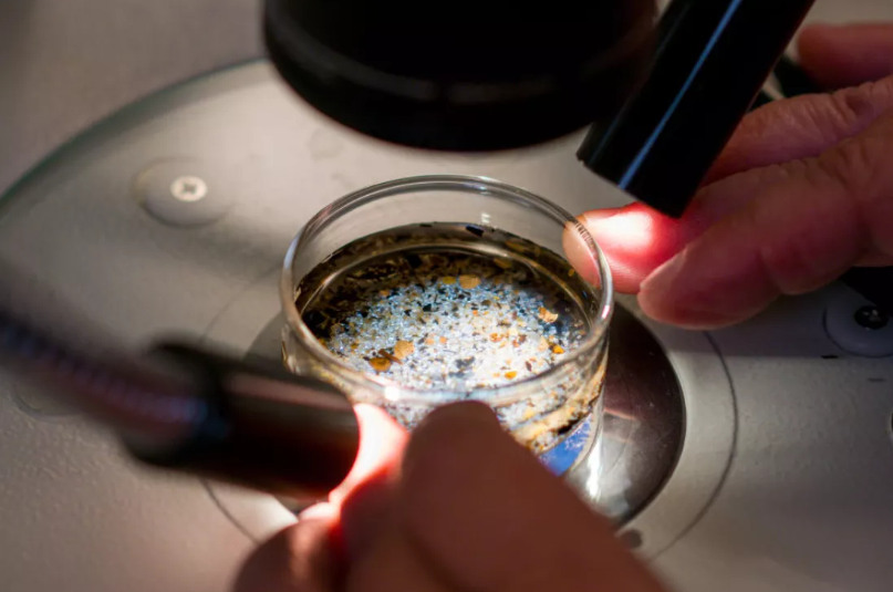Looking at microplastics through microscope