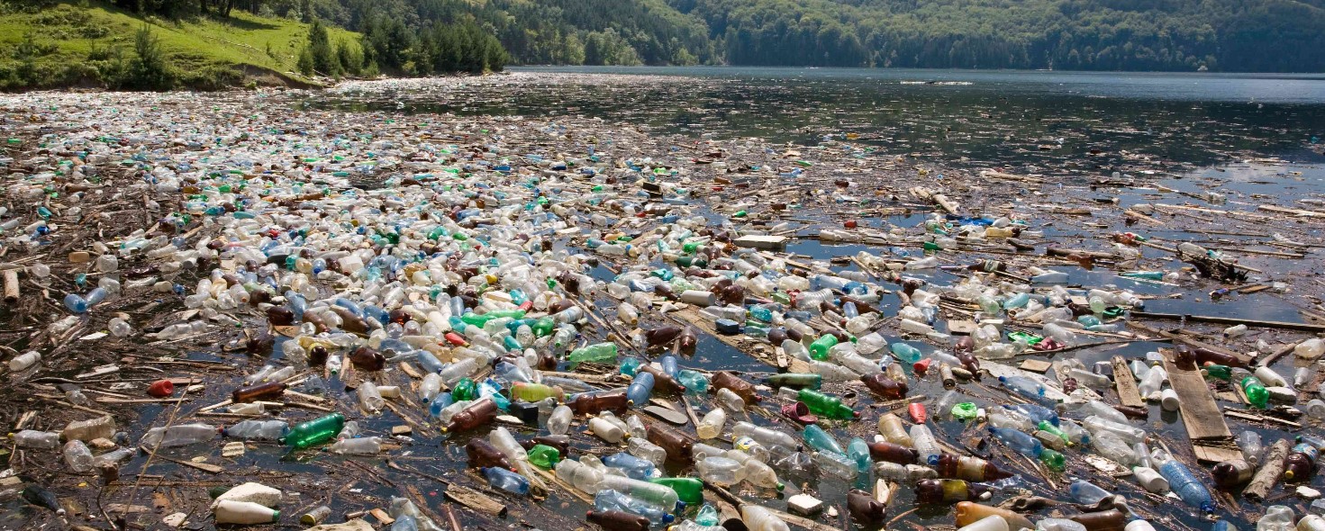 Plastic bottles floating in a lake