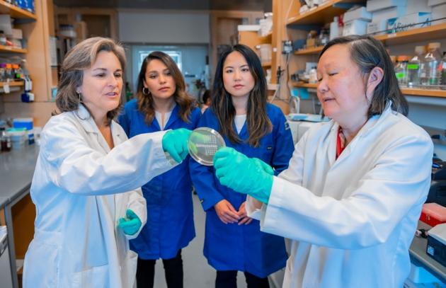 Scientists in a wet lab