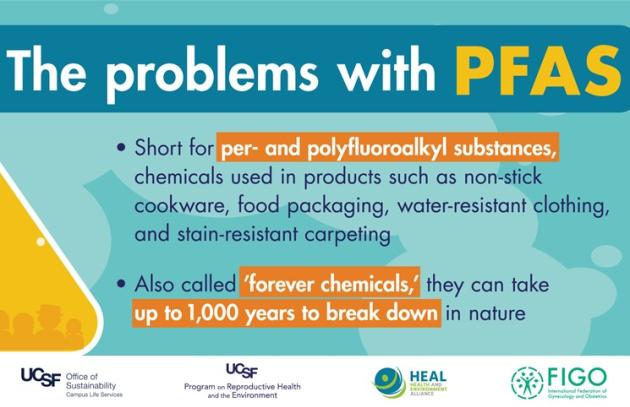 The problems with PFAS infographic