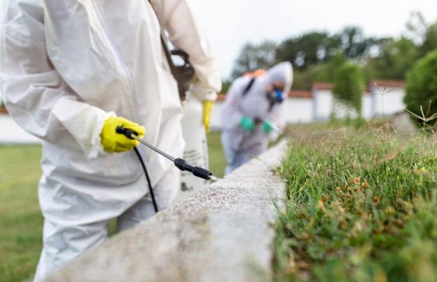 Exterminators spraying pesticide