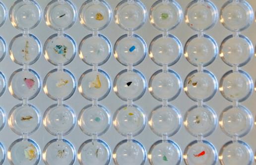 Series of vials holding microplastics