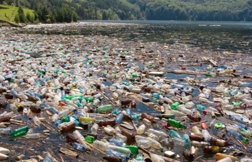 Plastic bottles floating in a lake