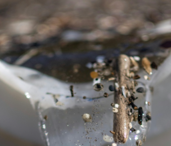 Microplastics being poured from cup