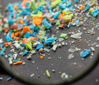 Microplastics seen under a magnifying glass