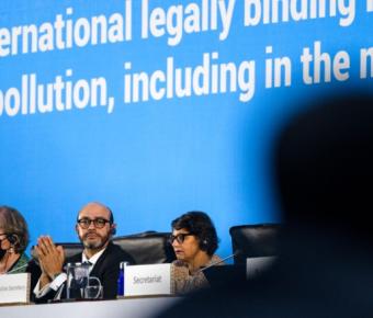 Participants at conference