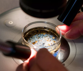 Looking at microplastics through microscope