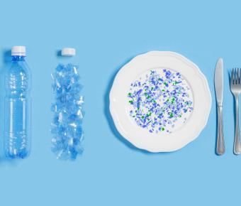 Microplastic fragments on dining plate