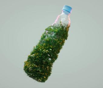 Plastic water bottle with moss growing on it