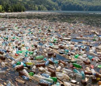 Plastic bottles floating in a lake