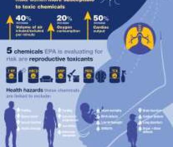 Infographic showing how Pregnant Women and Chemicals Don't Mix