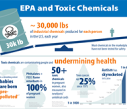 EPA and toxic chemicals infographic