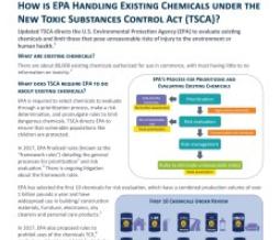 Existing Chemical Fact Sheet