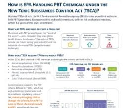 PBT Chemicals Fact Sheet