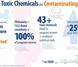 Toxic chemicals are contaminating people infographic